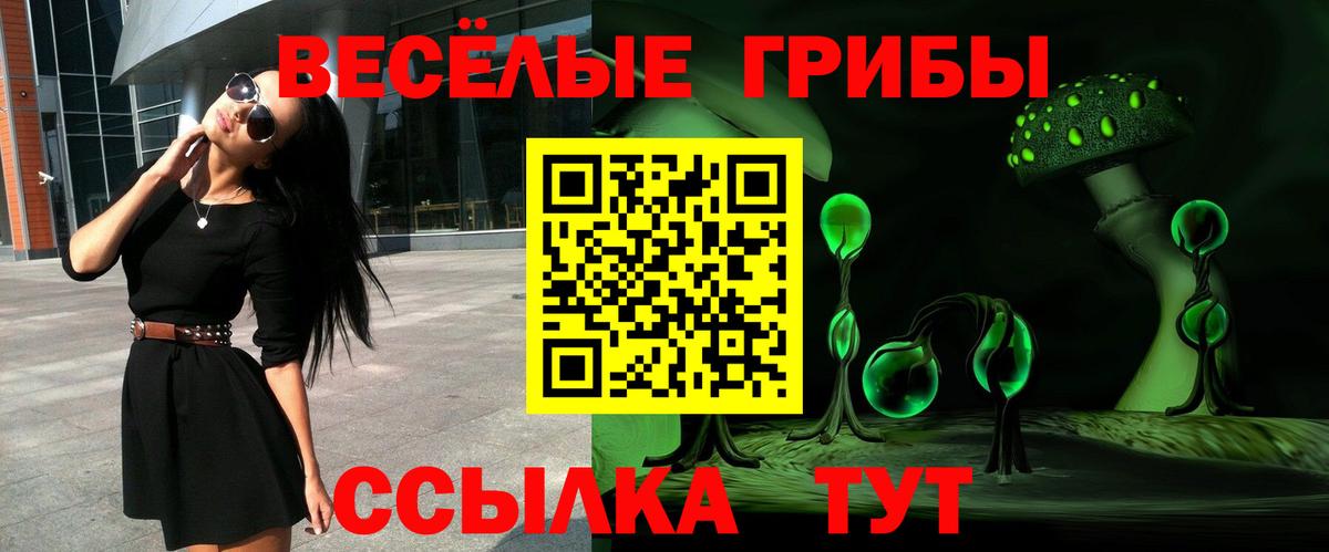 Псилоцибиновые грибы Cubensis Железноводск